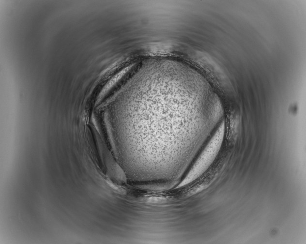 X0000098170228200805081008