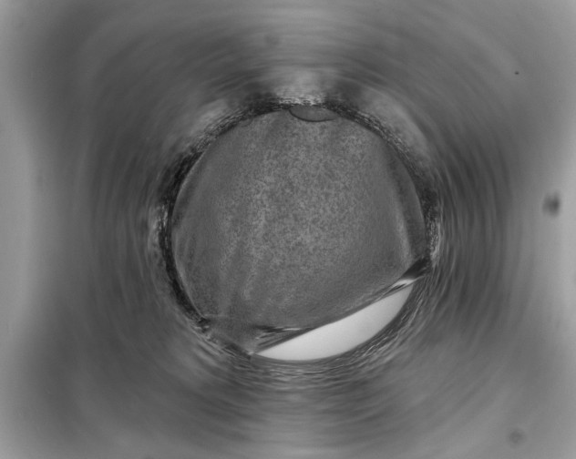 X0000098170229200805081008