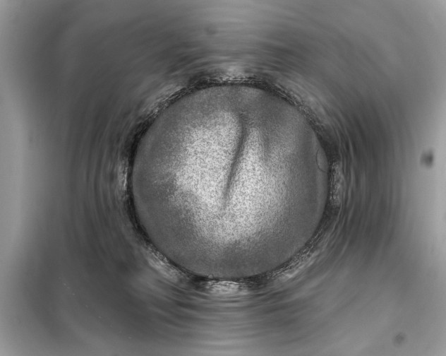 X0000098170230200805081008