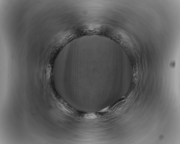 X0000098170231200805081008