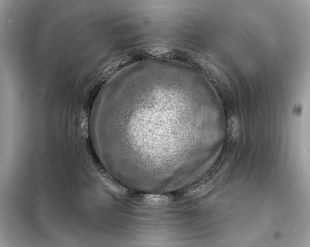 X0000098170234200805081008