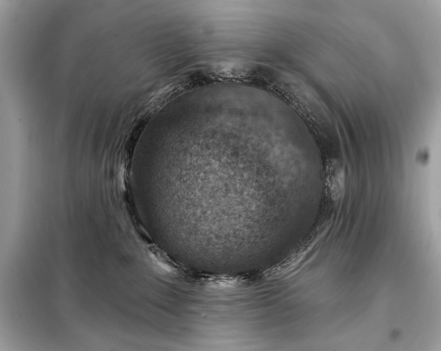 X0000098170235200805081008