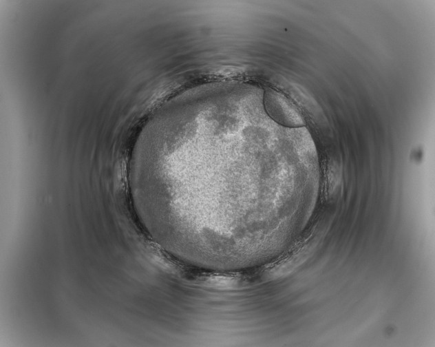 X0000098170236200805081008