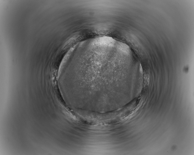 X0000098170237200805081008