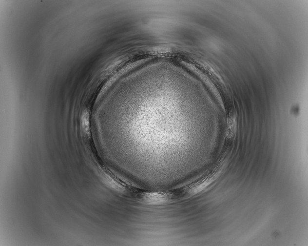 X0000098170238200805081008