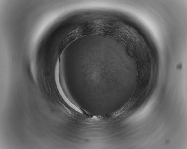 X0000098170239200805081008