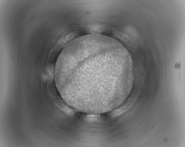 X0000098170240200805081008