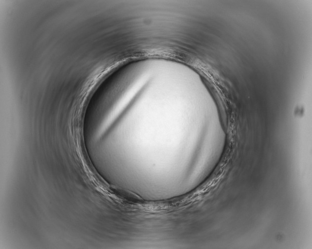 X0000098170241200805081007