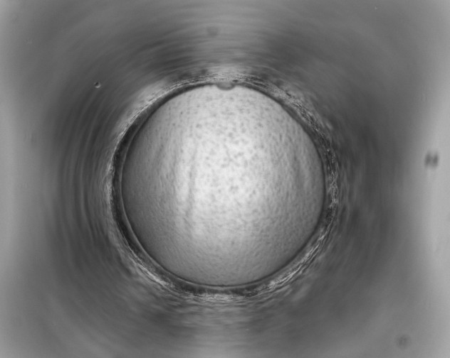 X0000098170242200805081007