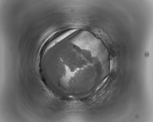 X0000098170243200805081007