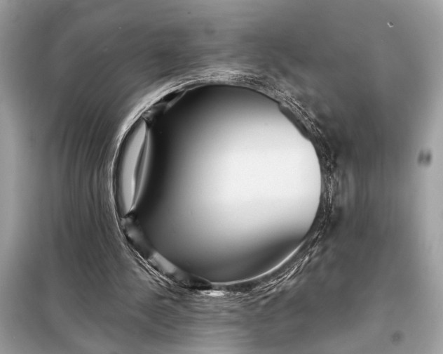 X0000098170244200805081007