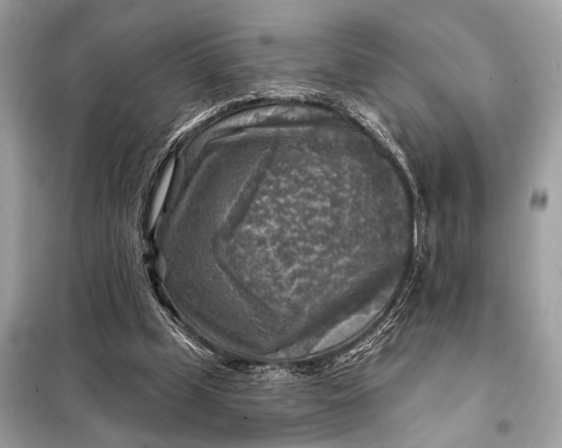 X0000098170249200805081007