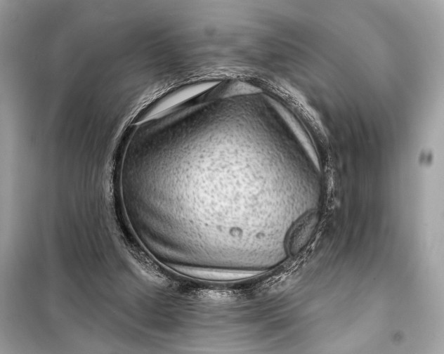 X0000098170250200805081008