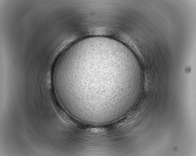 X0000098170251200805081008