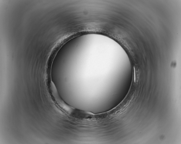 X0000098170252200805081008