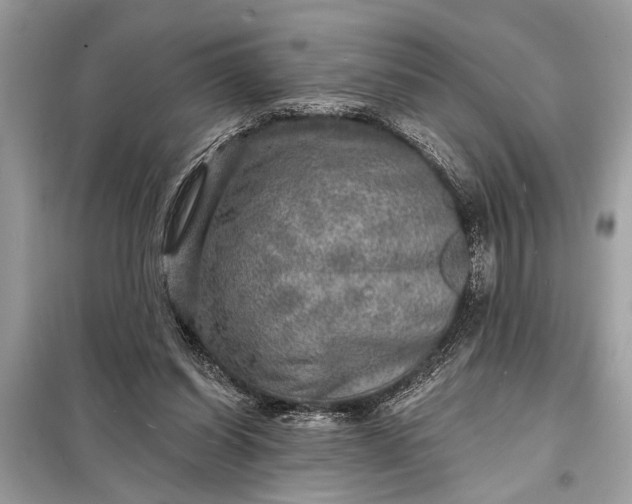 X0000098170254200805081008