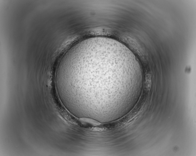 X0000098170255200805081008