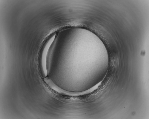 X0000098170256200805081008