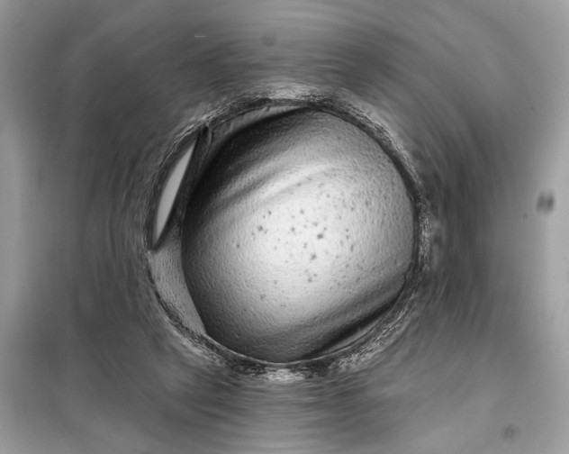 X0000098170257200805081008