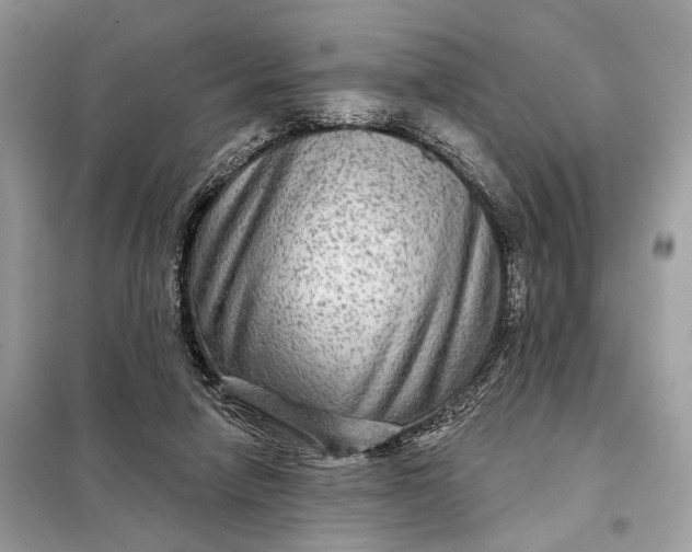 X0000098170258200805081008