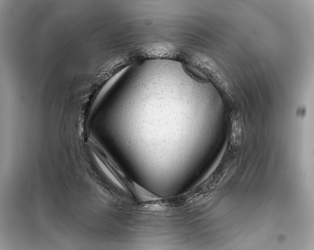 X0000098170259200805081008