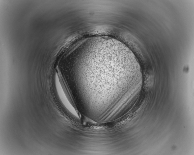 X0000098170260200805081008