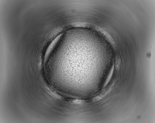 X0000098170261200805081008