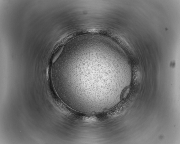 X0000098170262200805081008