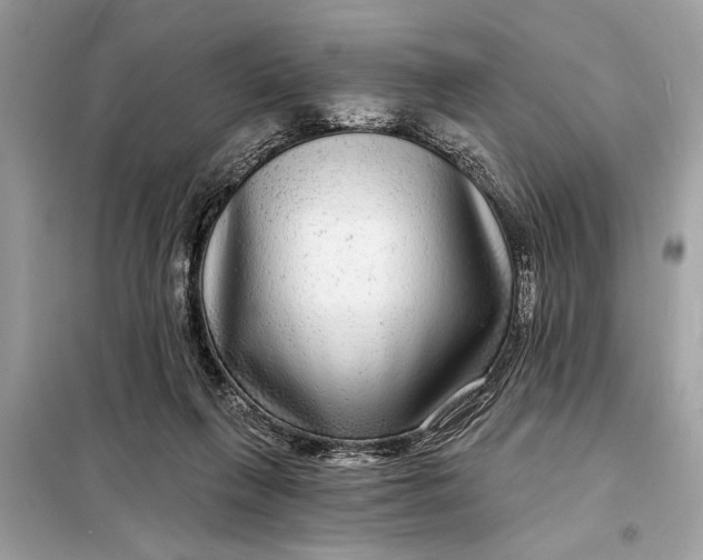 X0000098170263200805081008