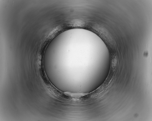 X0000098170264200805081008