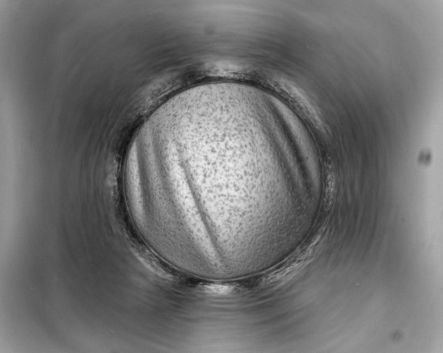 X0000098170265200805081008