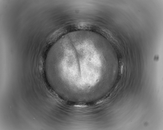 X0000098170266200805081008