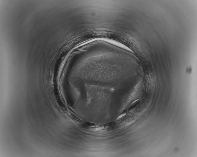 X0000098170267200805081008