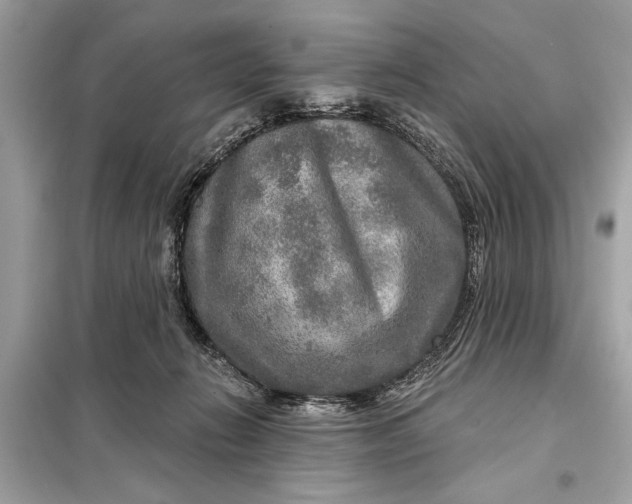 X0000098170270200805081008