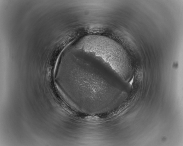 X0000098170271200805081008