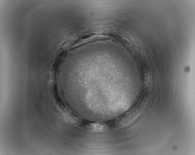 X0000098170272200805081008