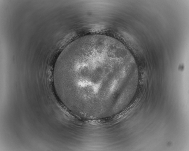 X0000098170273200805081008