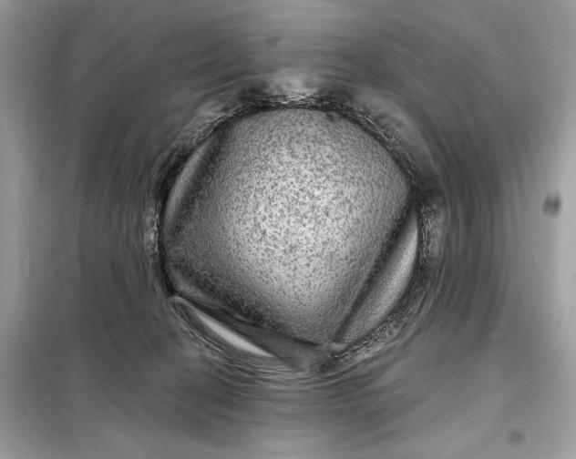 X0000098170274200805081008