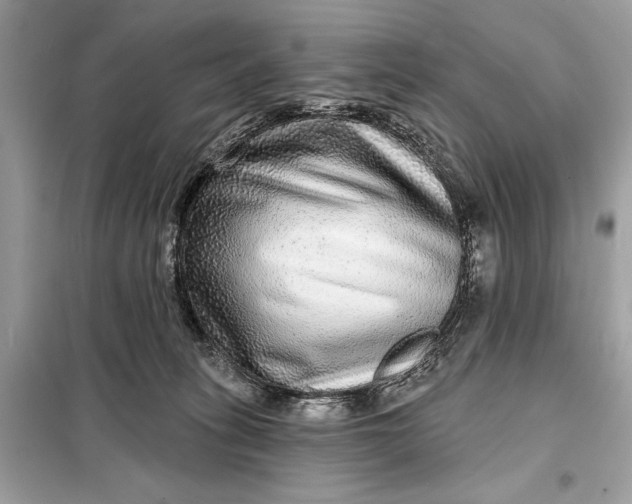 X0000098170275200805081008