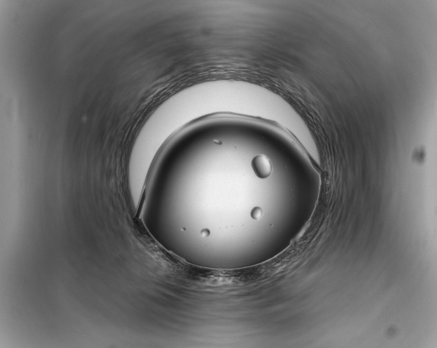 X0000098170276200805081008