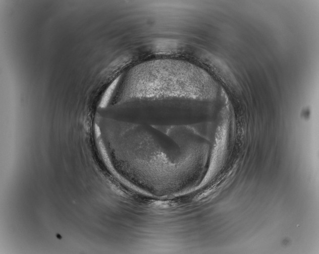 X0000098170277200805081008