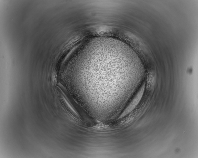 X0000098170278200805081008