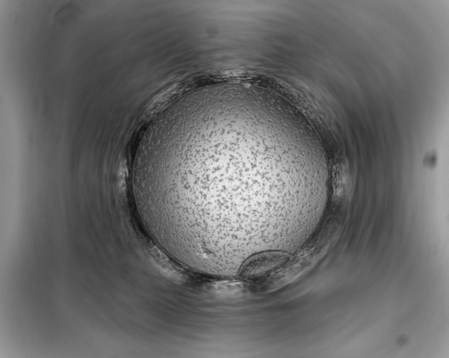 X0000098170279200805081008