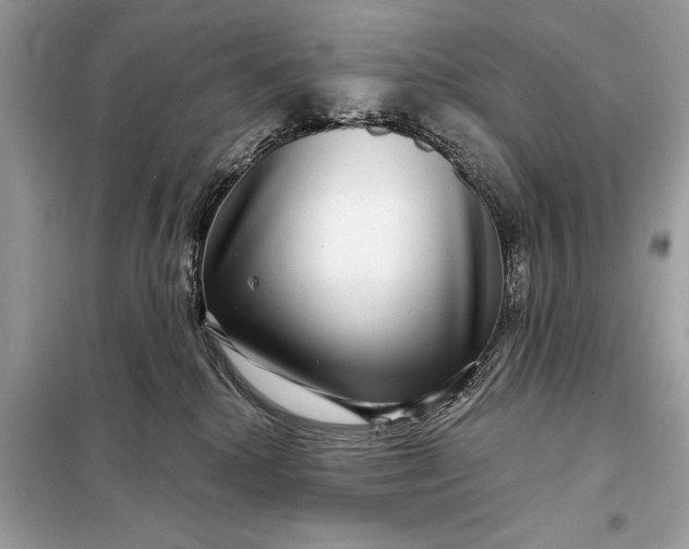 X0000098170280200805081008