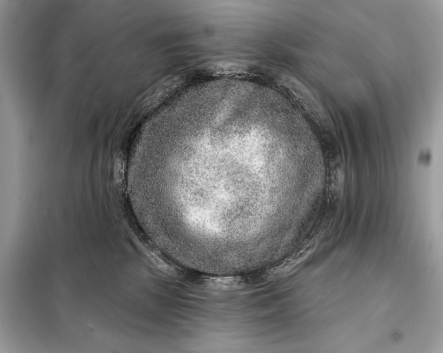 X0000098170281200805081008