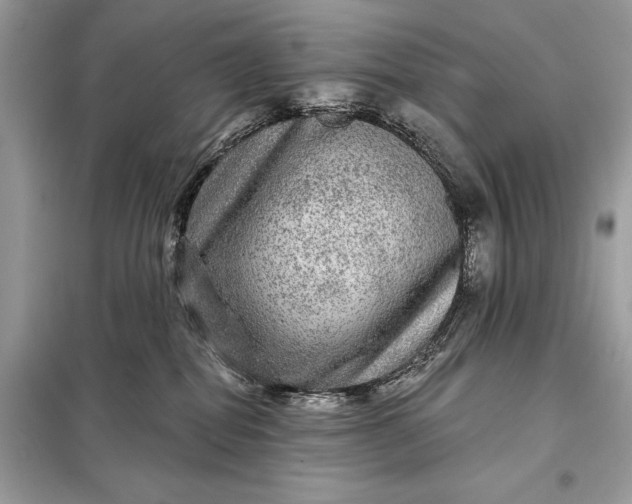 X0000098170282200805081008