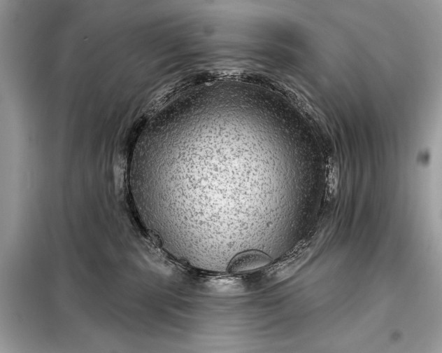 X0000098170283200805081008