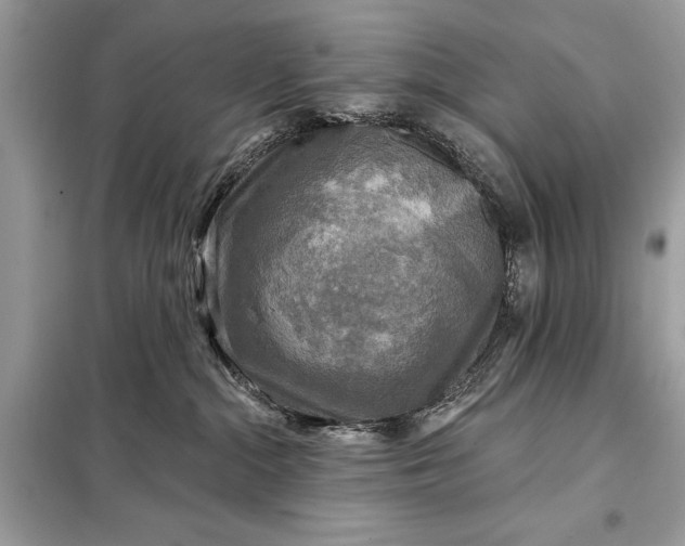 X0000098170284200805081008