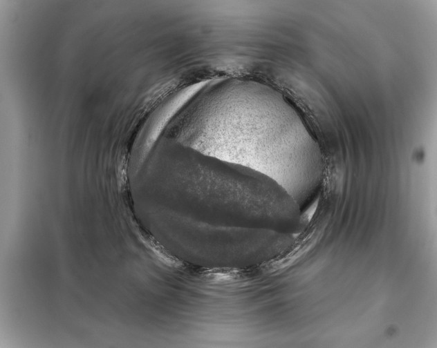 X0000098170285200805081008