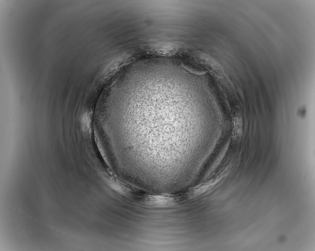 X0000098170286200805081008